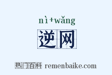 逆网是什么意思的图片